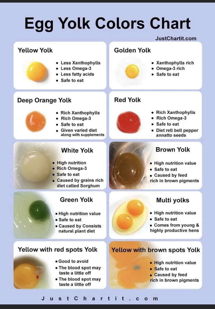 an egg yolk color chart with different colors