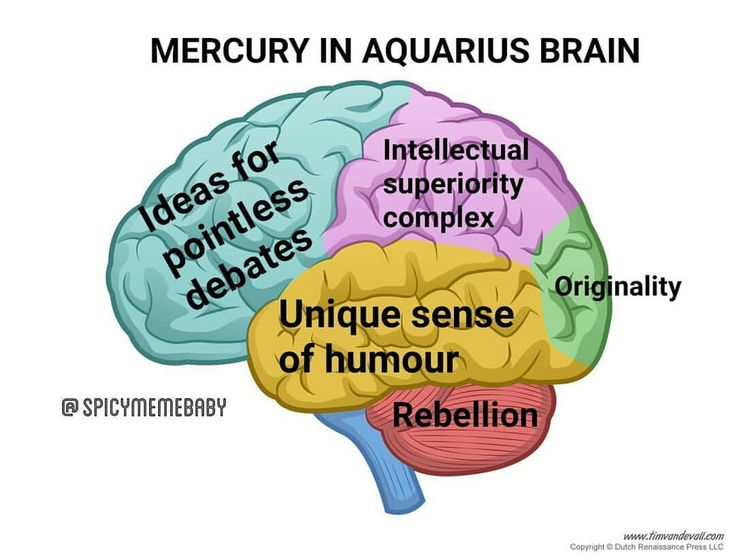 a diagram of the human brain with words describing its main functions and their corresponding parts