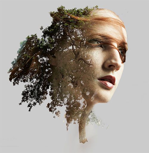 a woman's face with trees growing out of her head and the image is split in half