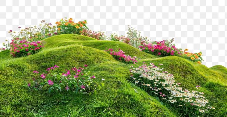 a green hill covered in grass and flowers with no background, hd png clipart