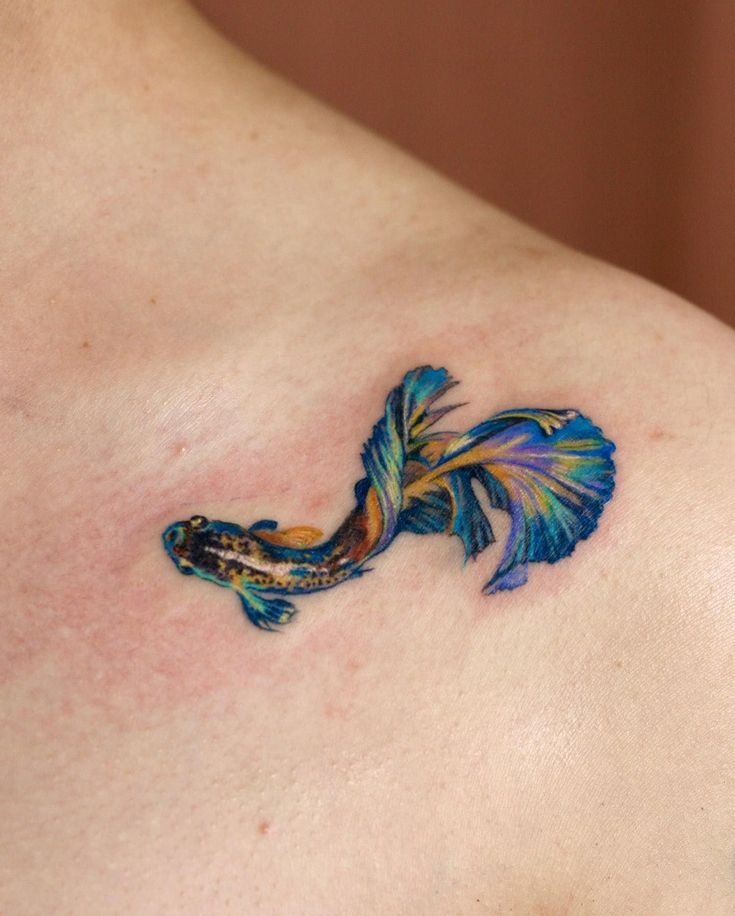 a tattoo on the back of a woman's shoulder with a blue and yellow fish