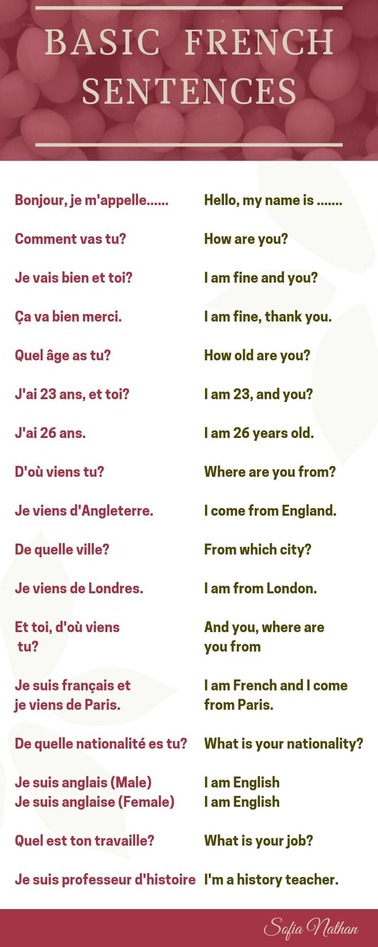 #frenchlanguage #ais #learnfrench #french #fran #france #speakfrench #frenchwords #frenchvocabulary #learningfrench #ilovefrench #apprendrelefran #fle #aise #studyfrench #frenchlesson #frenchclass #languagelearning #francais #learnfrenchonline #frenchteacher #frenchlearning #franc #parlerfran #language #s #languefran #francophile #frenchgrammar #delf French Basic Sentences, French Conversation Phrases, French Common Phrases, French Common Words, French Beginner Vocabulary, Basic French Words For Beginners, Learning French Beginner Notes, Easy French Words, French Conversation Practice