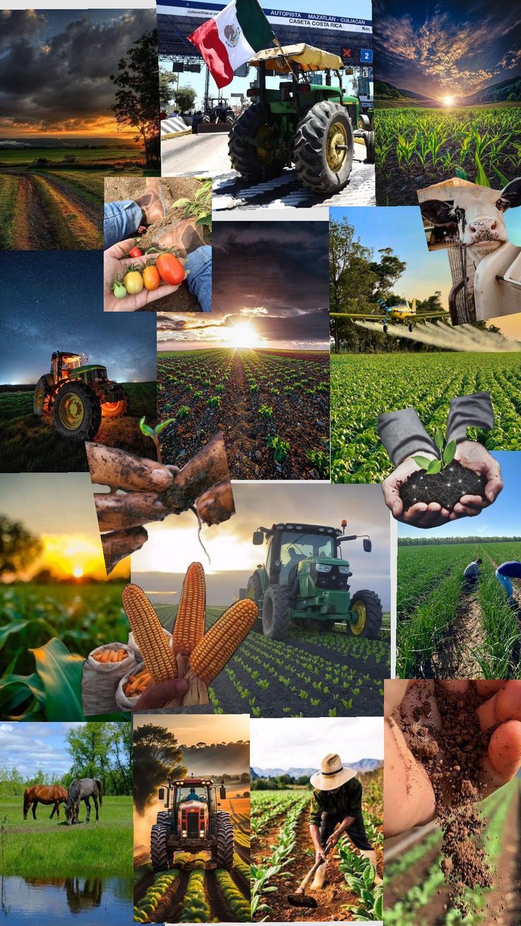 a collage of farm related images