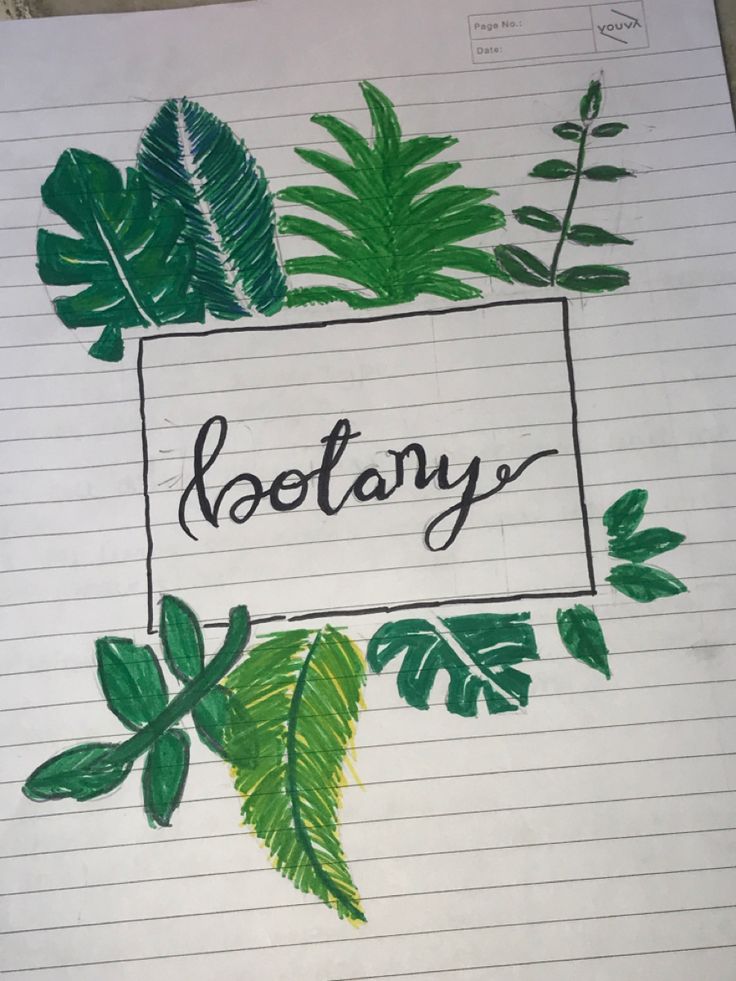 a piece of paper with some green leaves on it and the word rootany written in black ink