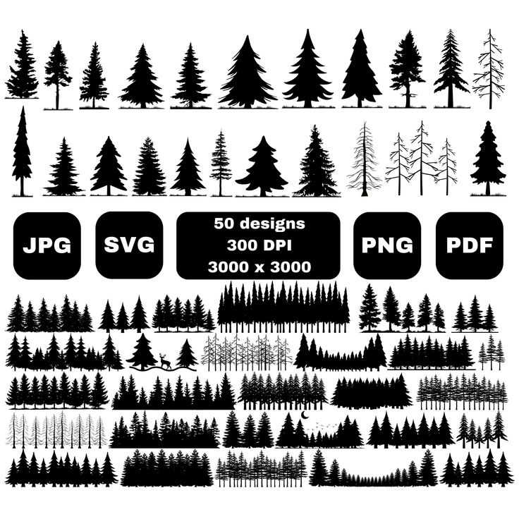 the silhouettes of pine trees are shown in black and white, with different sizes