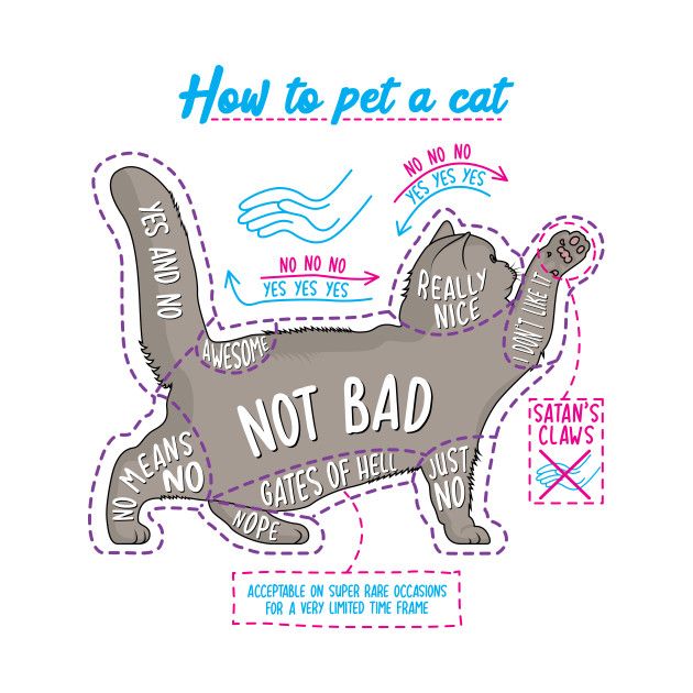 a cut out of a cat with the words not bad written on it