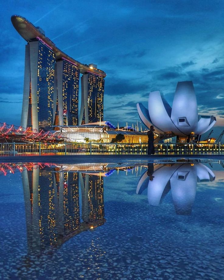 the lotus shaped building is reflected in the water at night, with its lights on