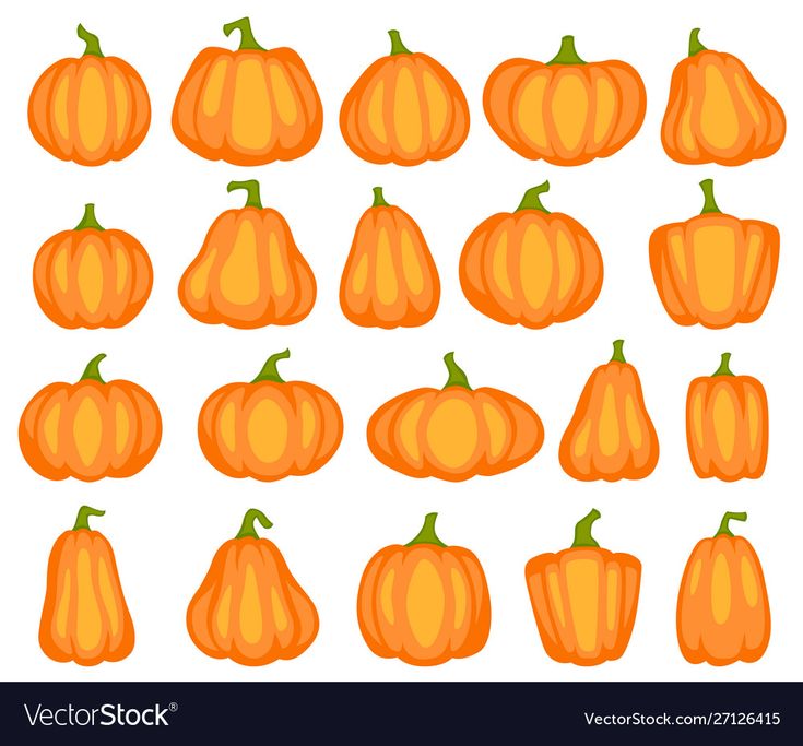 a set of orange pumpkins on white background