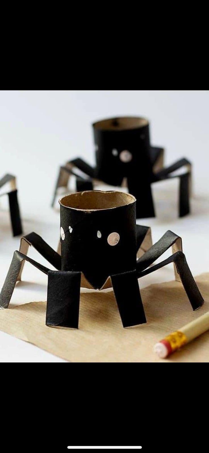 toilet paper spider craft for kids to make