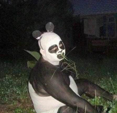 a panda bear sitting in the grass eating something