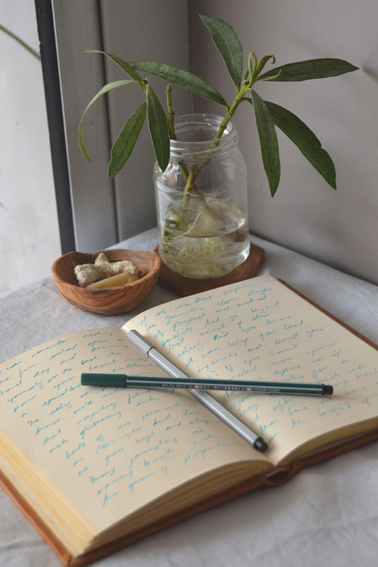 an open notebook with writing on it next to a potted plant and a pen