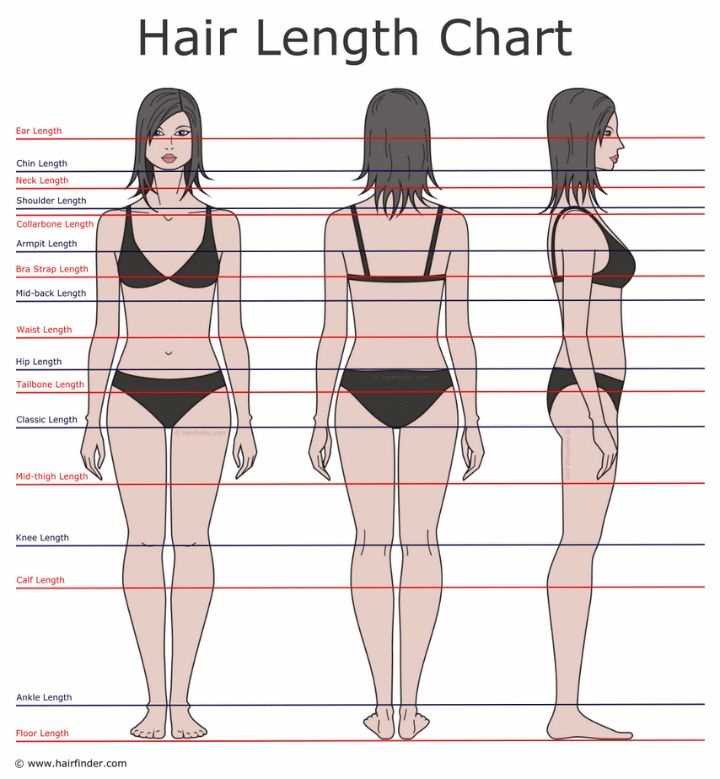 Armpit Length Hair, Hair Length Guide, Hair Growth Charts, Hair Chart, Growing Your Hair Out, Waist Length Hair, Hair Length Chart, Preity Zinta, Kareena Kapoor