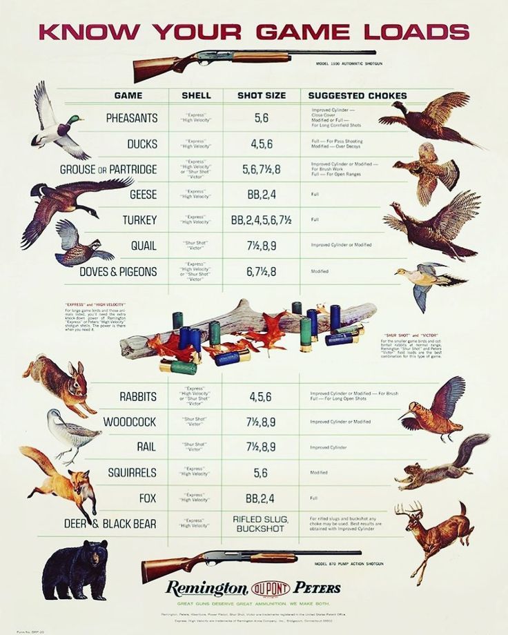 an old poster with birds and shotguns in different positions, including the words know your game loads