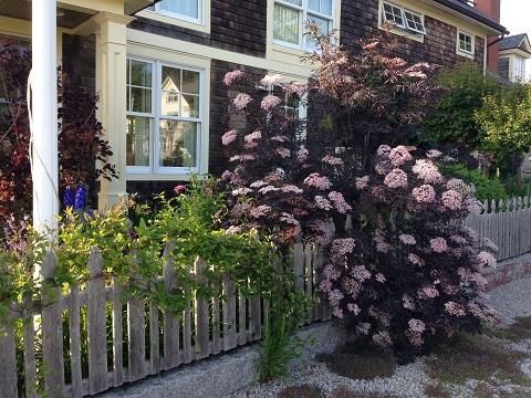 a house with flowers in front of it and a picket fence around the back yard