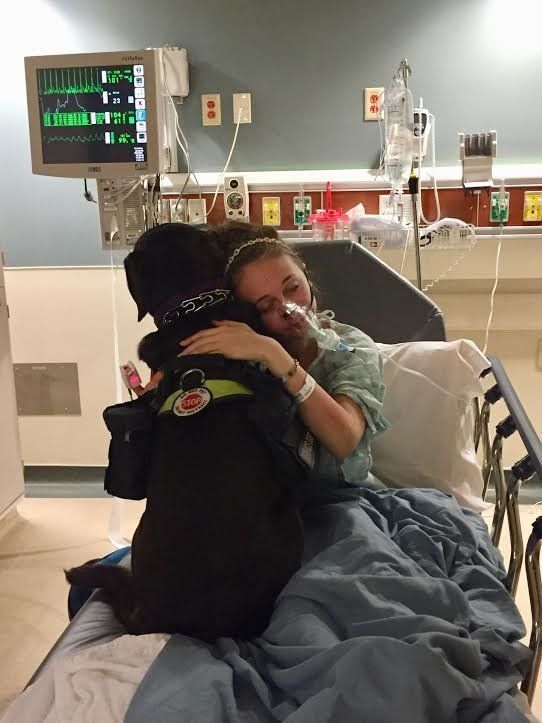 a person in a hospital bed with a dog