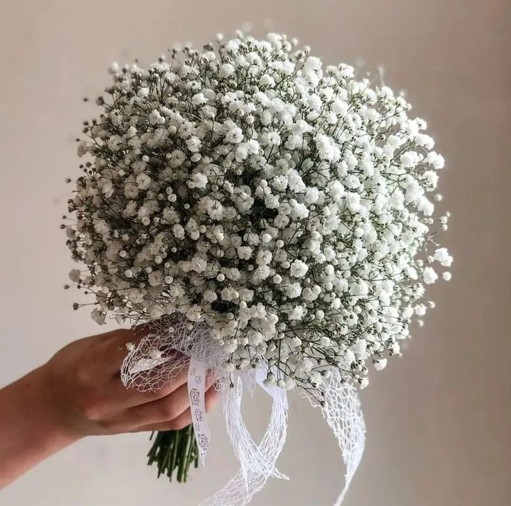 a bouquet of baby's breath in someones hand