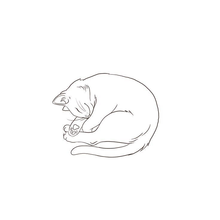 a black and white drawing of a cat sleeping