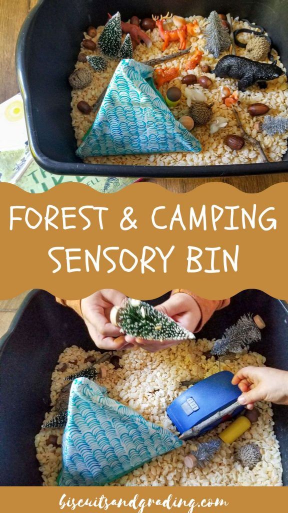 two pictures showing how to make a forest and camping sensory bin