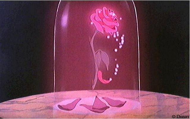 a pink rose in a glass dome with water droplets on the bottom and light up petals