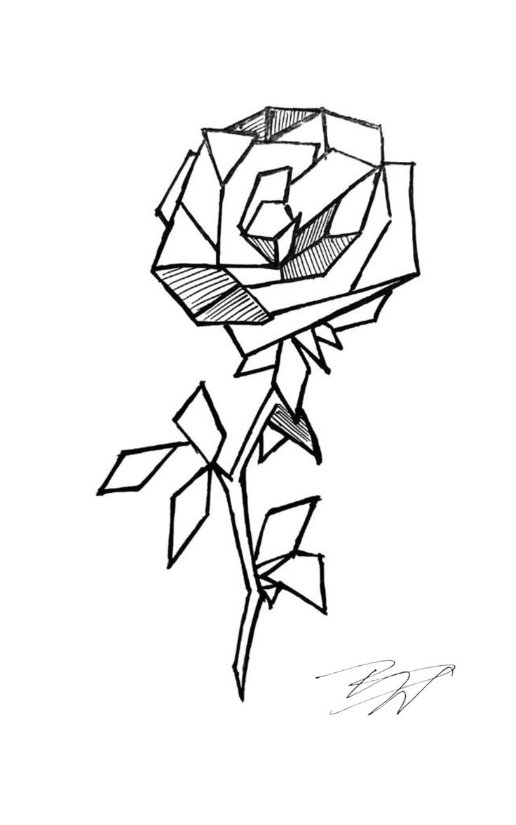 flower cubism black and white sketch drawing croquis fine lines pen style Art Cubism, Cubism Art, Pen Sketch, Flower Rose, Sketchbook Drawing, Cubism, Rose Petals, Drawing Sketches, Sketch Book