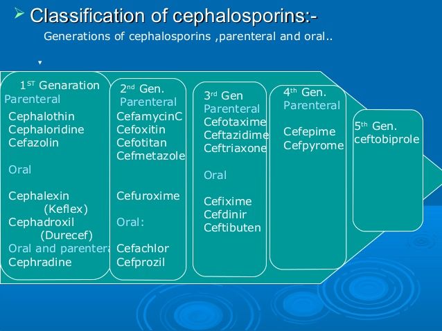 a diagram showing the different types of cephalosporins