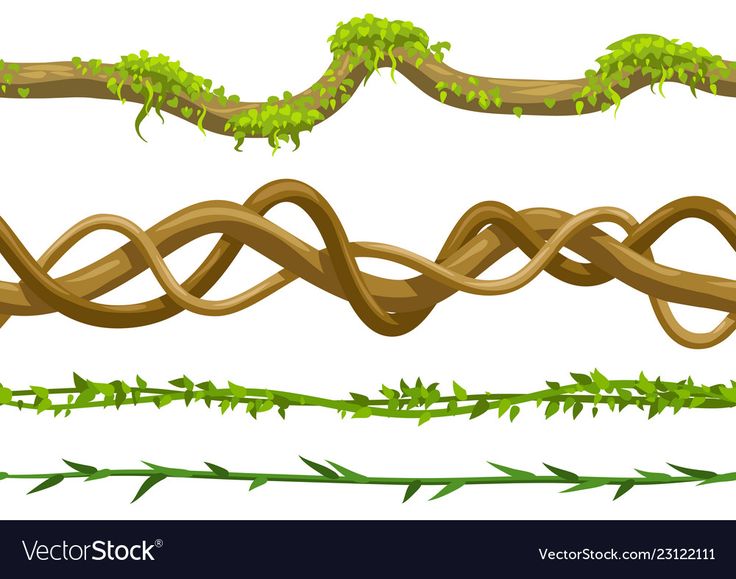 four different vines and branches on a white background