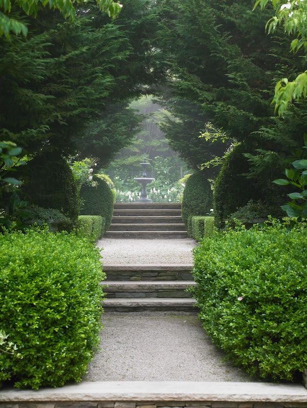 the steps lead up to an outdoor garden with trees and bushes on either side, in front of a set of stone steps