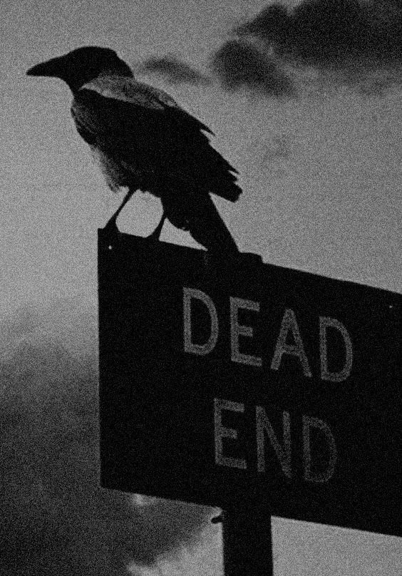 a black and white photo of a bird on top of a sign that reads dead end