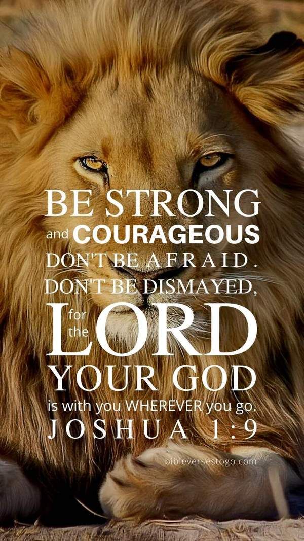 a lion laying down with the words be strong and courageous