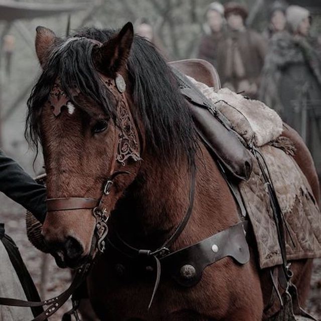 a man standing next to a brown horse