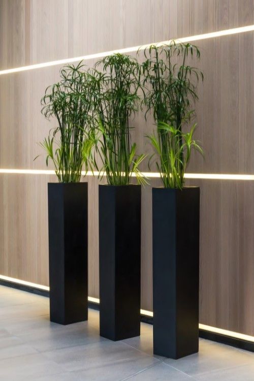 three tall black vases with plants in them on the floor next to a wall