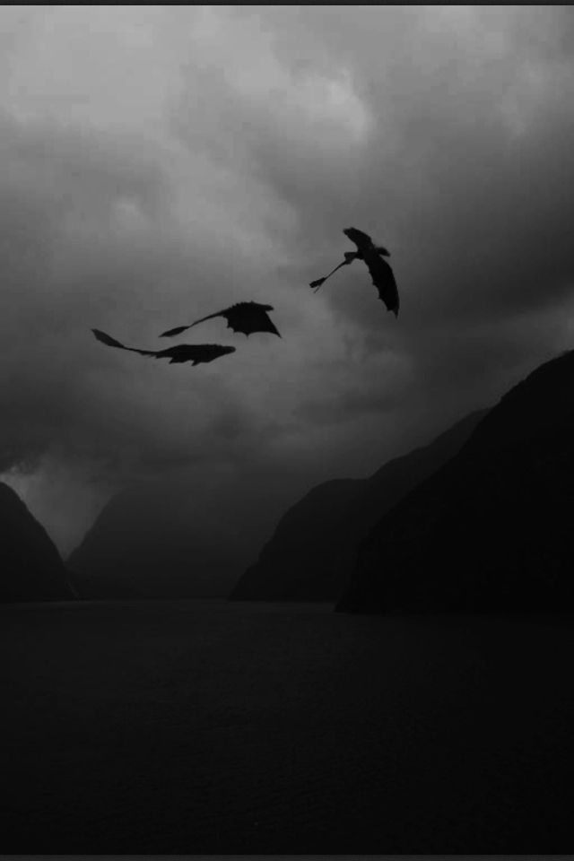 two birds flying in the sky over water under a cloudy sky with words that read dracaryss