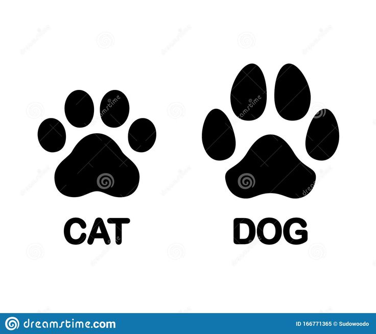 cat and dog paw prints on white background