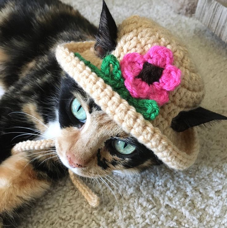 a cat laying on the floor wearing a crocheted hat