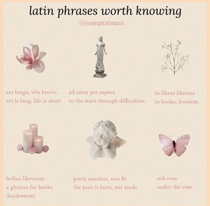 an info sheet with different types of flowers and butterflies on it, including the words latin phrases worth know