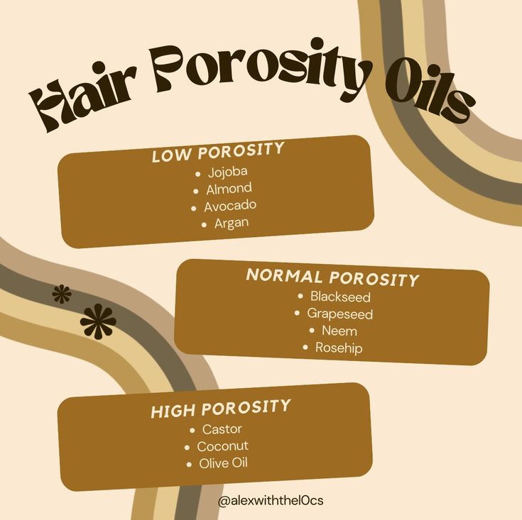 High And Low Porosity Hair, High Porosity 4c Natural Hair Products, Hair Oil According To Hair Porosity, Ingredients For Low Porosity Hair, Best Oil For High Porosity Hair, Relaxed Hair Braided Hairstyles, Hair Porosity Oils, Normal Porosity Hair Products, Best Products For High Porosity 4c Hair