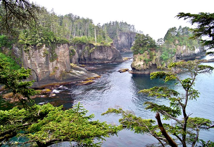 a river flowing through a lush green forest filled with lots of rocks and water surrounded by trees