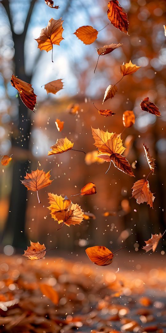 falling leaves in the air on a fall day with blurry trees in the background