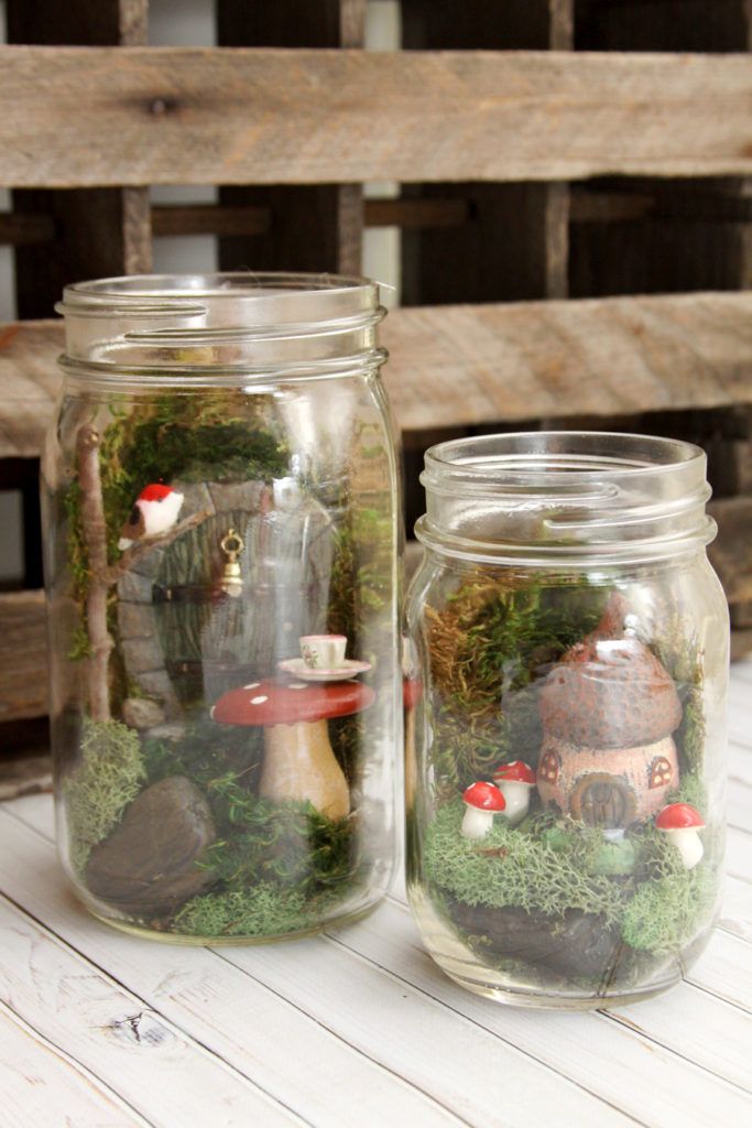 two jars filled with different types of plants and mushrooms