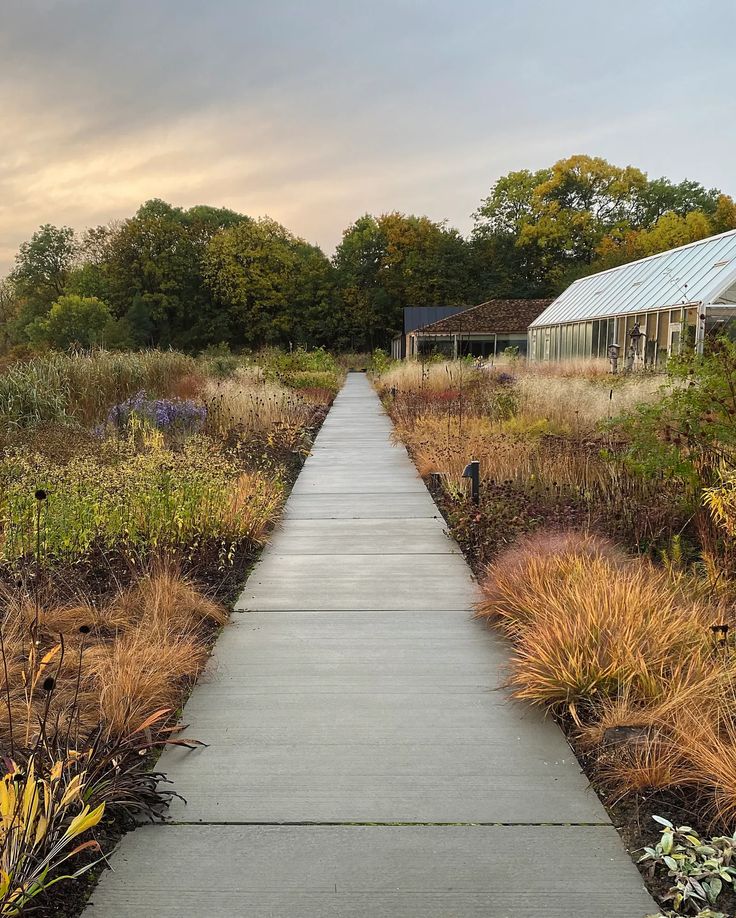 a walkway in the middle of a garden