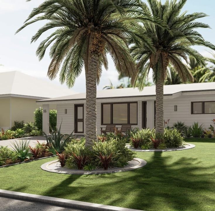 an artist's rendering of a house with palm trees in the front yard and landscaping around it