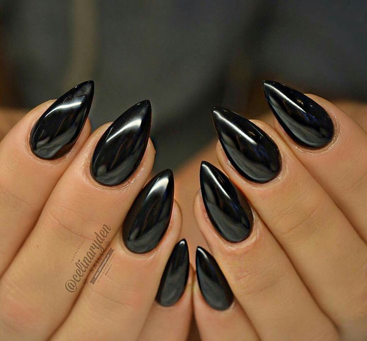 Black Nails For Vacation, Short Pointy Black Nails, Pointy Dark Nails, Short Sharp Black Nails, Black Sharp Almond Nails, Black Studded Nails, Nails Acrylic Sharp, Black Nails Stiletto Short, Nails Acrylic Pointed