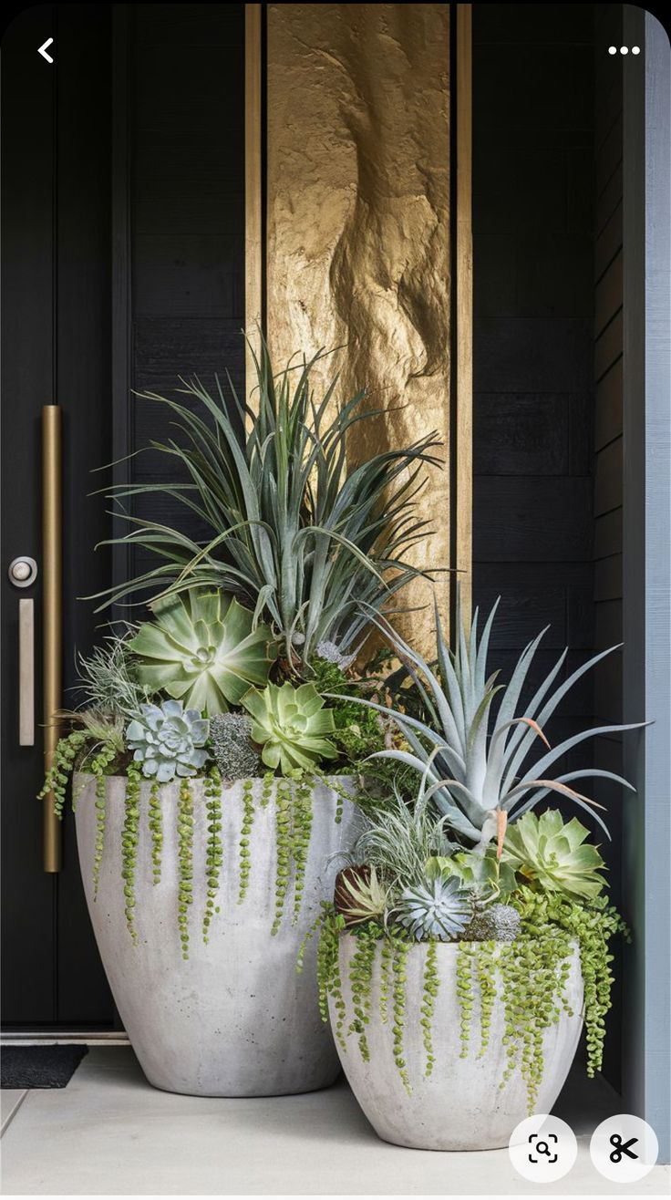 two large planters with plants in them sitting on the side of a door way