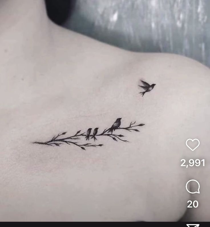 the back of a woman's chest with birds on it and branches in the foreground