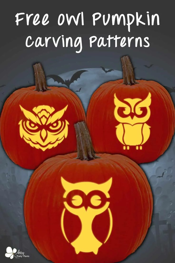 three carved pumpkins with owls on them