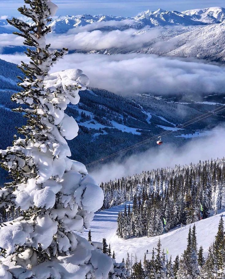 snow covered trees and mountains in the distance with clouds coming from behind them on a sunny day