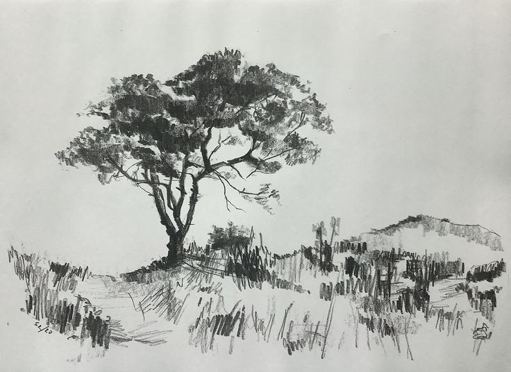 a black and white drawing of a tree in the middle of a field with mountains in the background