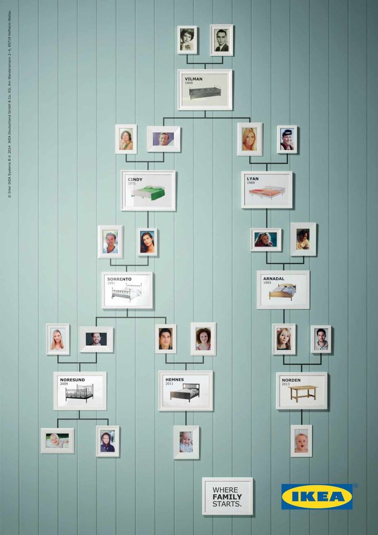 a family tree with many pictures on the wall and below it is an advert for ikea