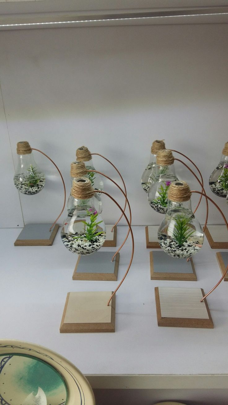 four glass vases with plants in them are on top of each other and one is hanging from the wall