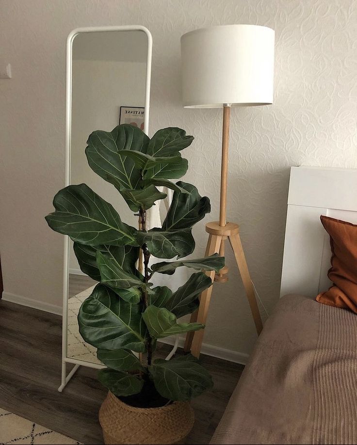 a plant in a pot next to a mirror and lamp on a wooden floor near a bed